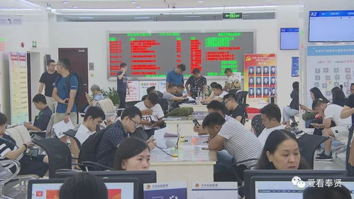 改革開放40周年丨一流的營商環(huán)境 助力奉賢成為投資熱土 投資咨詢服務(wù)