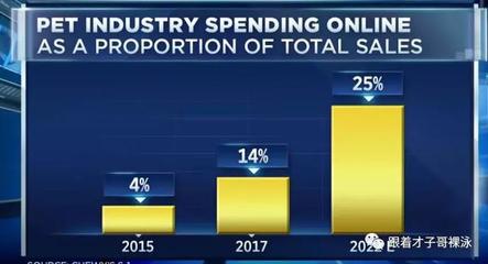互聯網寵物商品銷售 下一個電商風口？
