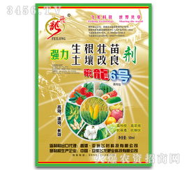 深耕沃土，綠動未來 飛龍肥業“飛龍6號”強力生根壯苗土壤改良劑研發記