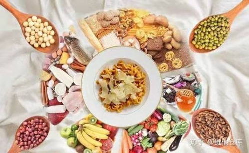 漫談營養科學與功能性食品 中國市場的土壤與機會——兼論土壤改良劑的研發啟示