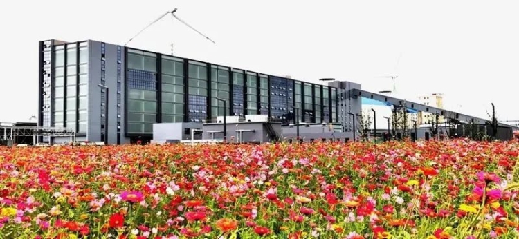 江陰市人民政府門戶網-農業農村重大項目 | 科技創新賦能鄉村產業